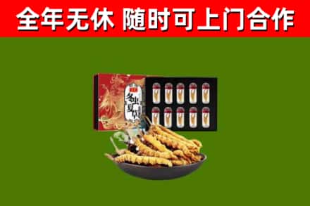 纳溪区回收冬虫夏草价格